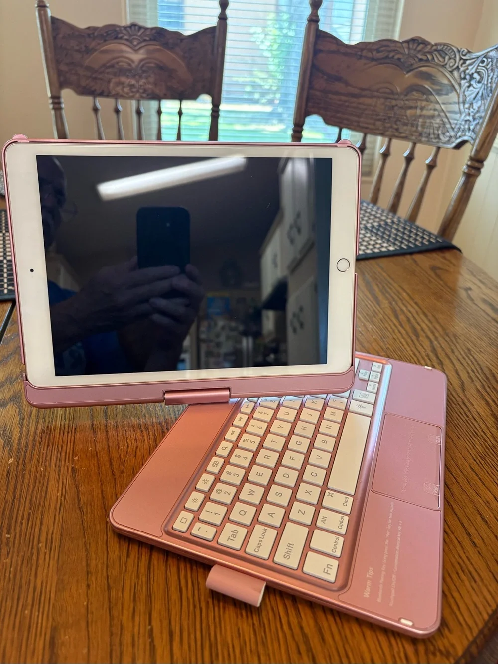 Apple this ipad